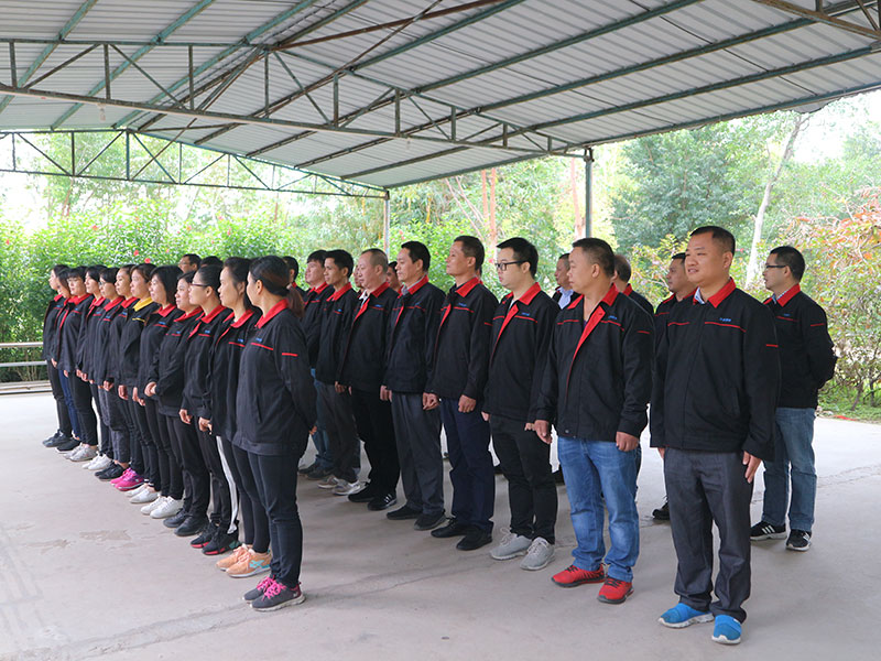 2018-12-28-拓展活動 打造務(wù)實團隊踐行降耗提效