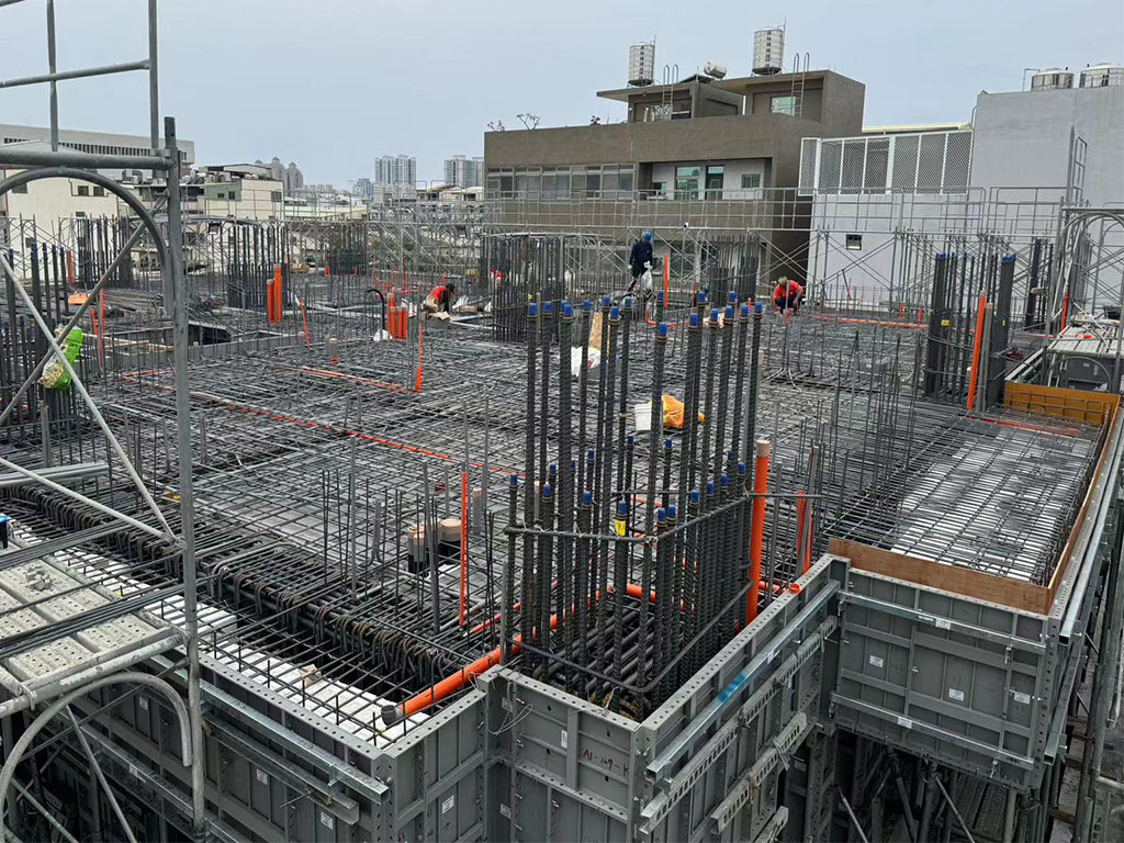 臺灣龍麗企業(yè)地產項目